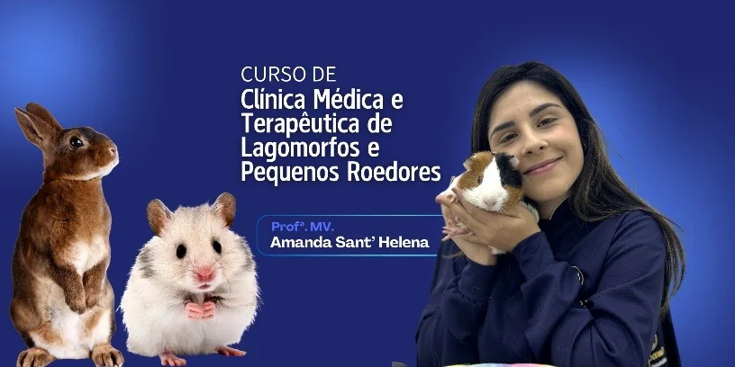 Curso de Clínica Médica e Terapêutica de Lagomorfos e Pequenos Roedores