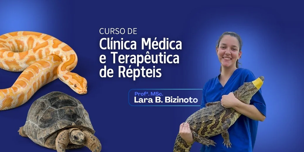 Curso de Clínica Médica e Terapêutica de Répteis